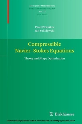 Compressible Navier-Stokes Equations