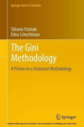 The Gini Methodology