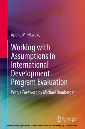 Working with Assumptions in International Development Program Evaluation