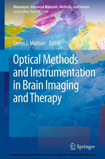 Optical Methods and Instrumentation in Brain Imaging and Therapy main product photo