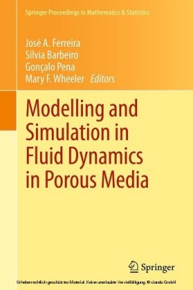 Modelling and Simulation in Fluid Dynamics in Porous Media