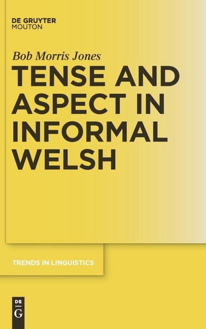 Tense and Aspect in Informal Welsh main product photo