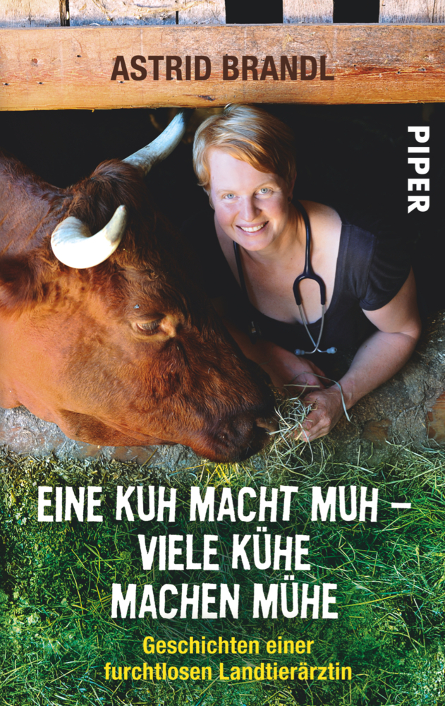Eine Kuh macht muh - viele Kühe machen Mühe main product photo