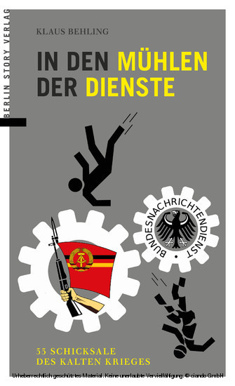 In den Mühlen der Dienste main product photo