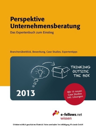 Perspektive Unternehmensberatung 2013
