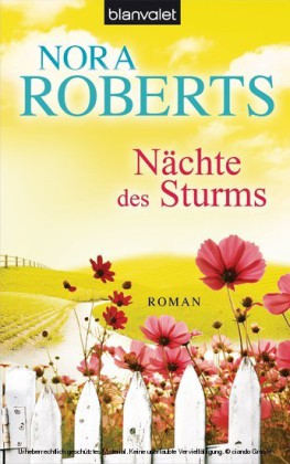 Nächte des Sturms