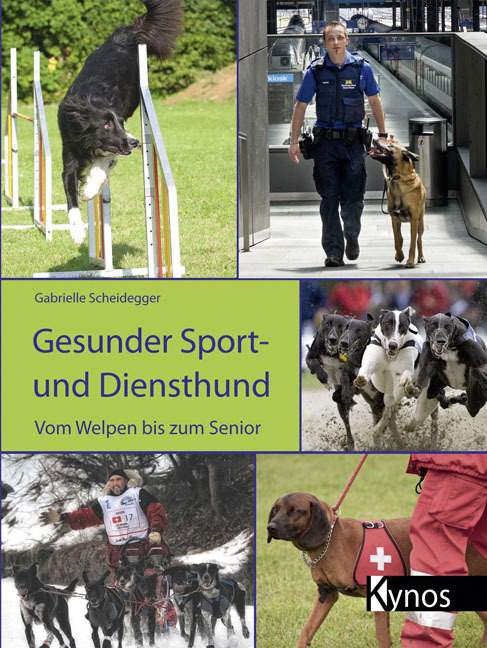 Gesunder Sport- und Diensthund main product photo