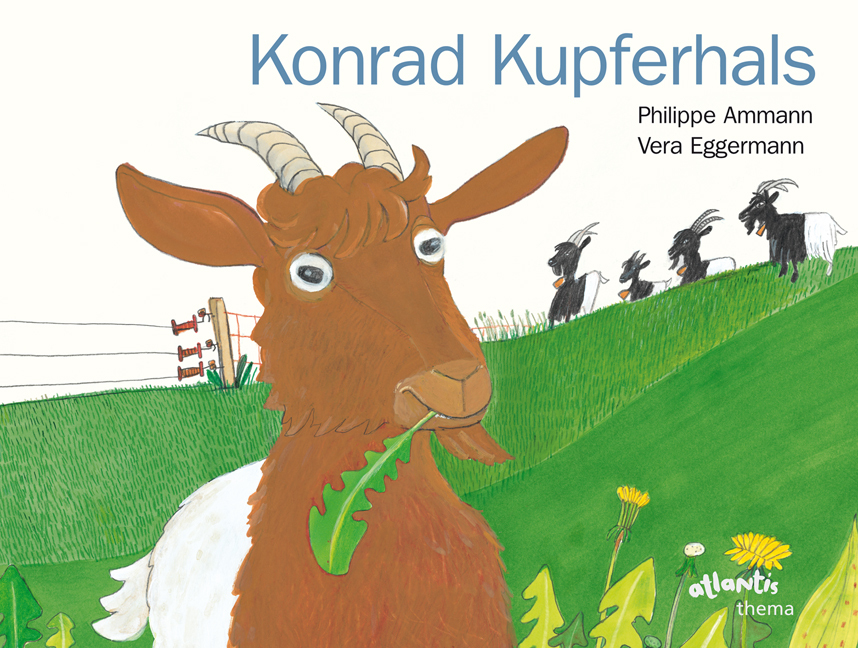 Konrad Kupferhals main product photo