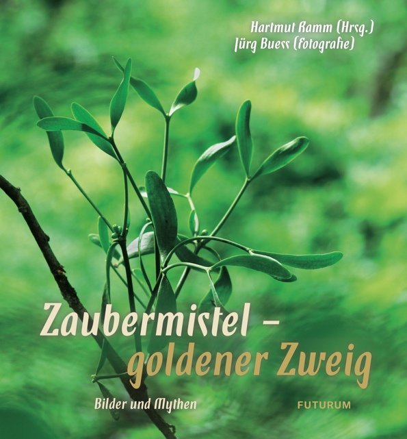 Zaubermistel - goldener Zweig main product photo