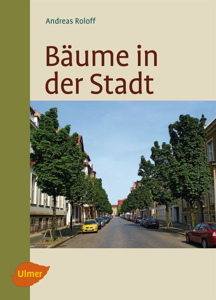 Bäume in der Stadt main product photo