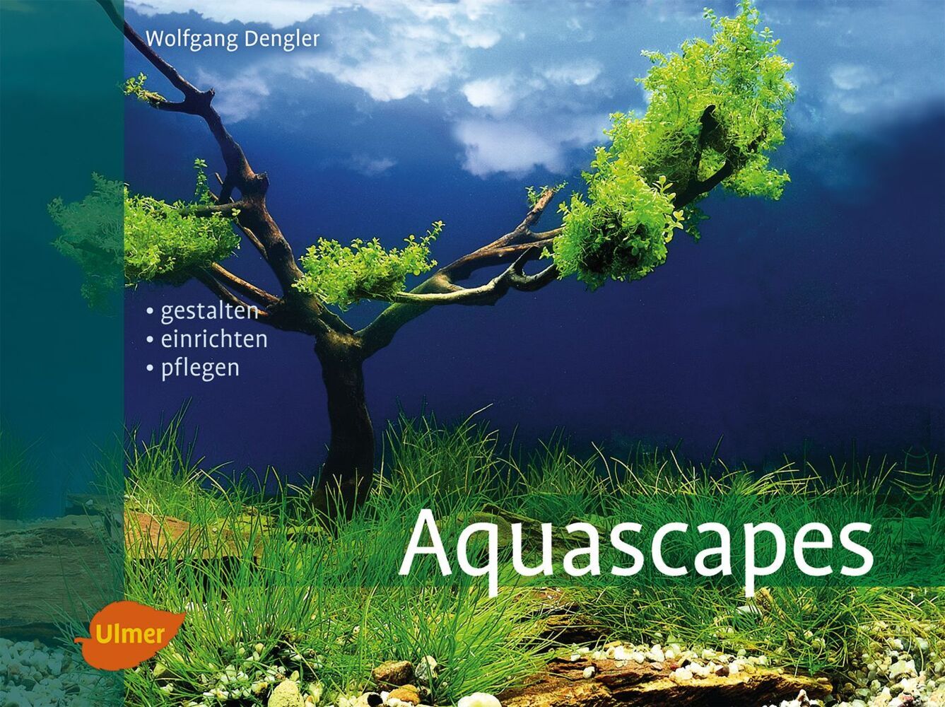 Aquascapes main product photo
