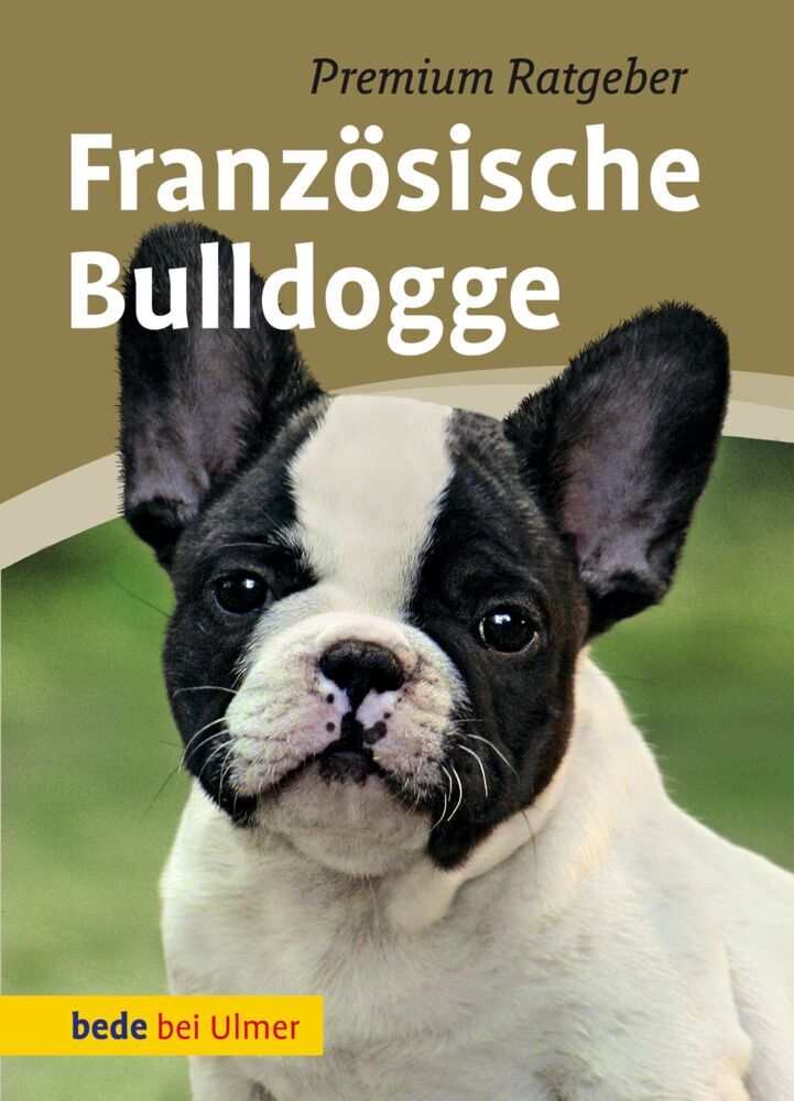 Französische Bulldogge main product photo