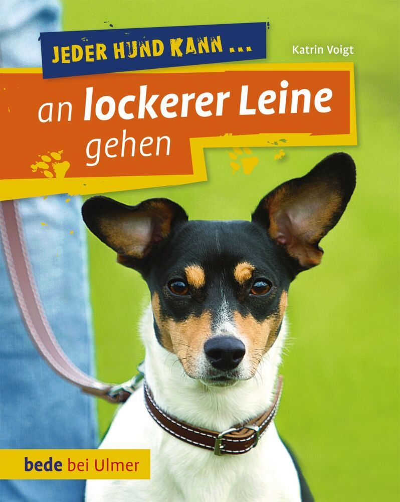 Jeder Hund kann an lockerer Leine gehen main product photo