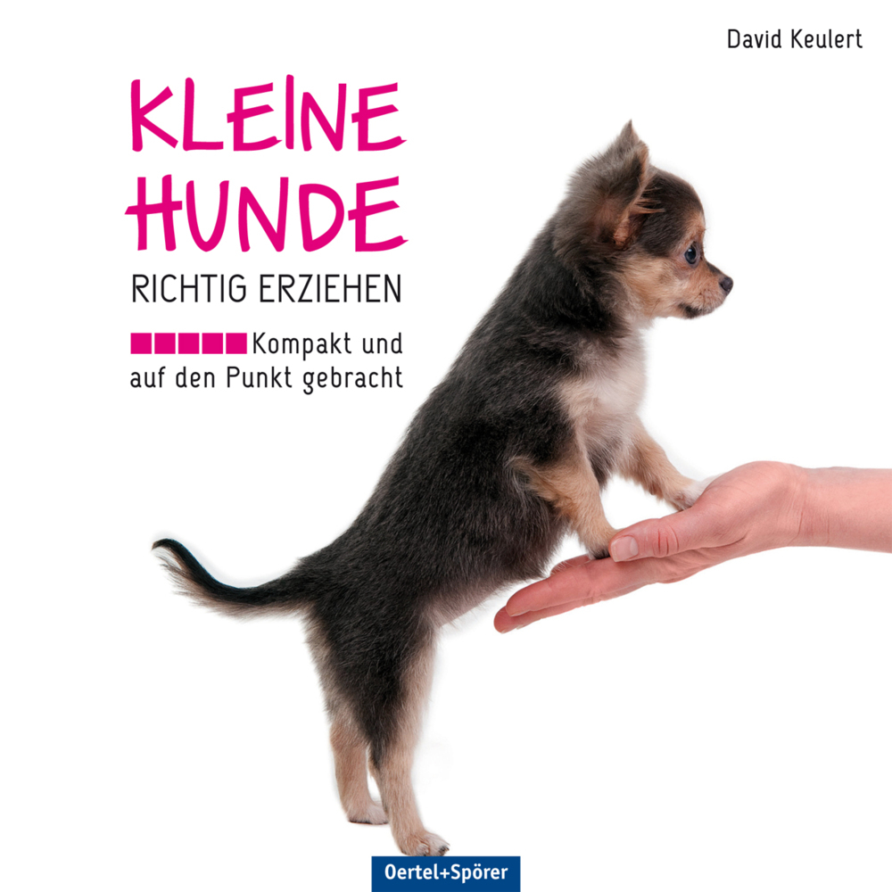 Kleine Hunde richtig erziehen main product photo