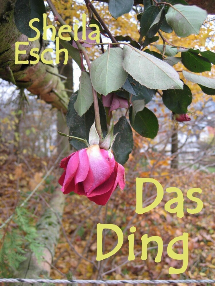 Das Ding main product photo