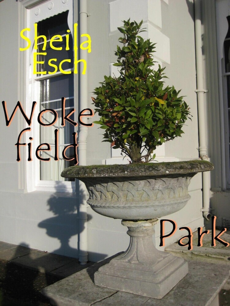 Wokefield Park main product photo