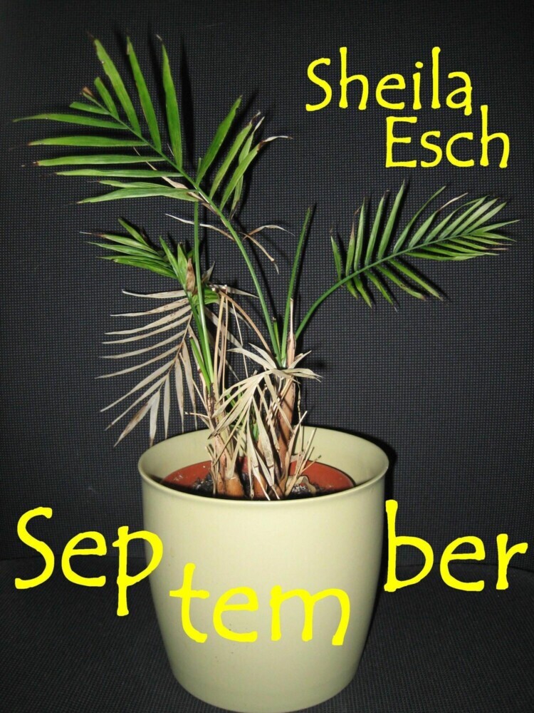 September main product photo