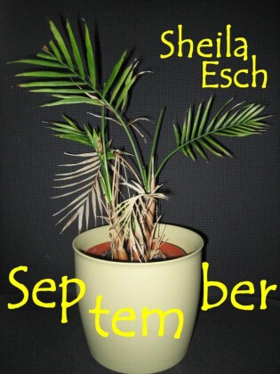 September