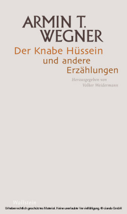 Der Knabe Hüssein und andere Erzählungen