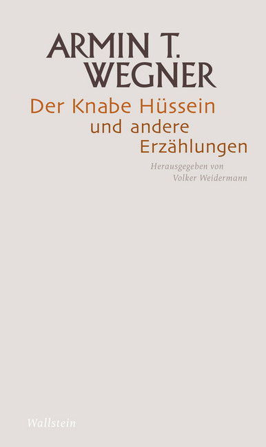 Der Knabe Hüssein und andere Erzählungen main product photo