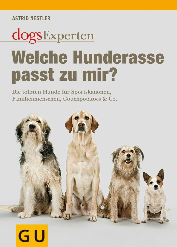 Welche Hunderasse passt zu mir? main product photo