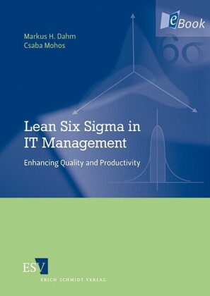 Lean Six Sigma in IT Management
