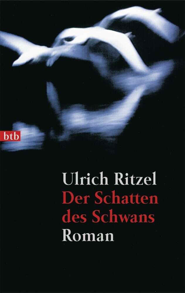 Der Schatten des Schwans main product photo