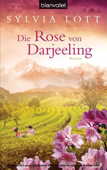 Die Rose von Darjeeling main product photo