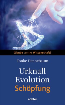 Urknall, Evolution