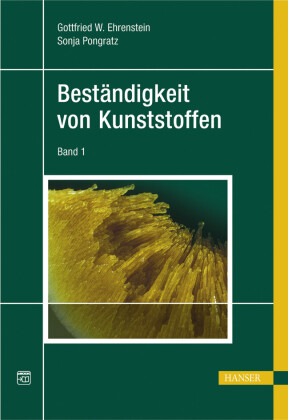 Beständigkeit von Kunststoffen (Zweibändige Ausgabe)
