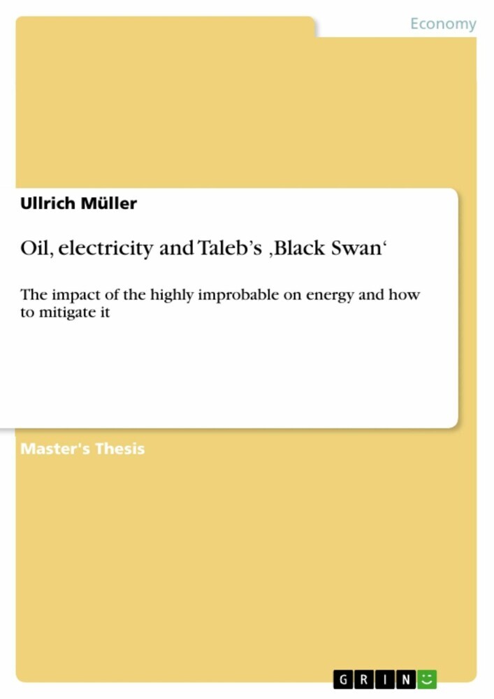 Oil, electricity and Taleb's 'Black Swan' main product photo