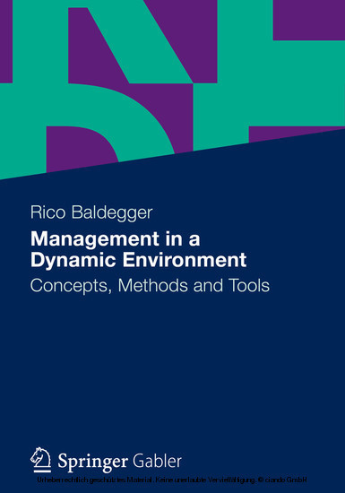 Management in a Dynamic Environment main product photo
