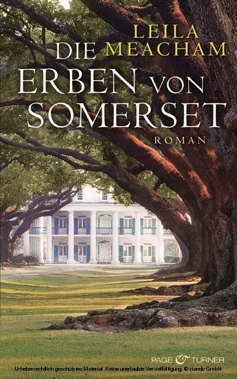 Die Erben von Somerset main product photo