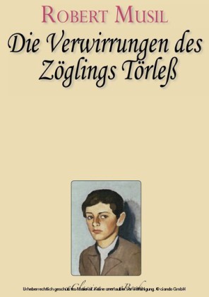 Robert Musil - Die Verwirrungen des Zöglings Törleß