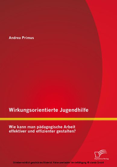 Wirkungsorientierte Jugendhilfe: Wie kann man pädagogische Arbeit effektiver und effizienter gestalten? main product photo