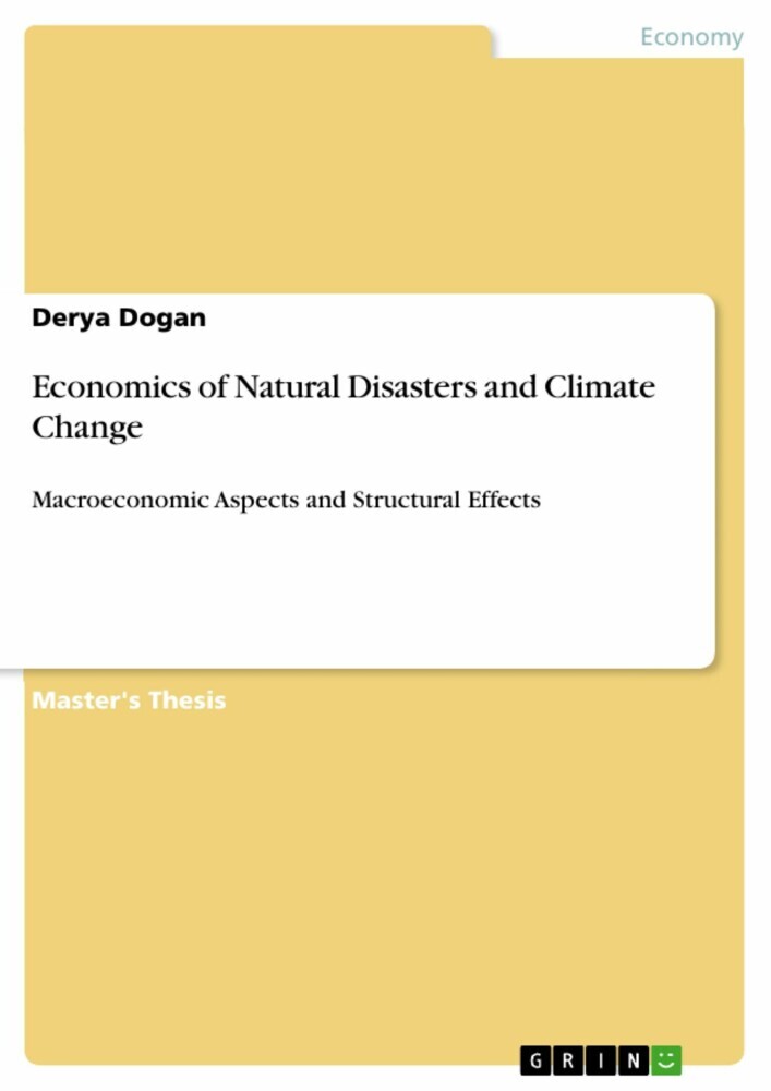 Economics of Natural Disasters and Climate Change main product photo