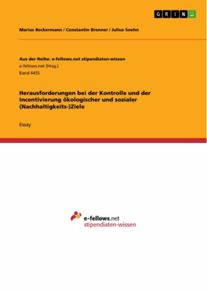 Herausforderungen bei der Kontrolle und der Incentivierung ökologischer und sozialer (Nachhaltigkeits-)Ziele