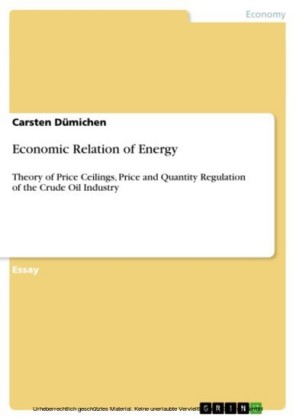 Economic Relation of Energy