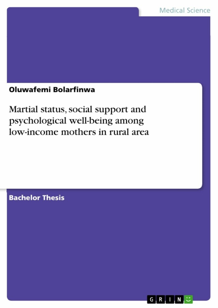 Martial status, social support and psychological well-being among low-income mothers in rural area main product photo
