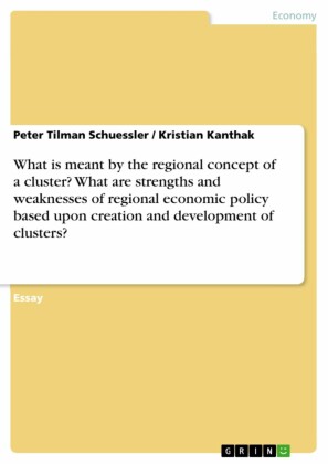 What is meant by the regional concept of a cluster? What are strengths and weaknesses of regional economic policy based upon creation and development of clusters?