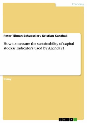How to measure the sustainability of capital stocks? Indicators used by Agenda21