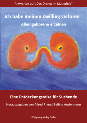 Ich habe meinen Zwilling verloren