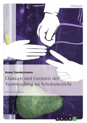 Chancen und Grenzen des Teamteaching im Schulunterricht