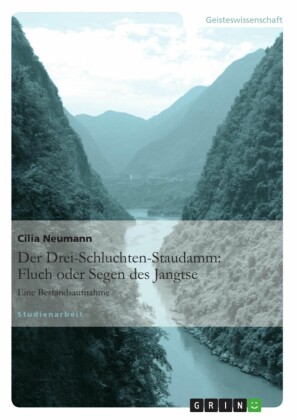Der Drei-Schluchten-Staudamm: Fluch oder Segen des Jangtse