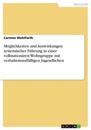 Möglichkeiten und Auswirkungen systemischer Führung in einer vollstationären Wohngruppe mit verhaltensauffälligen Jugendlichen