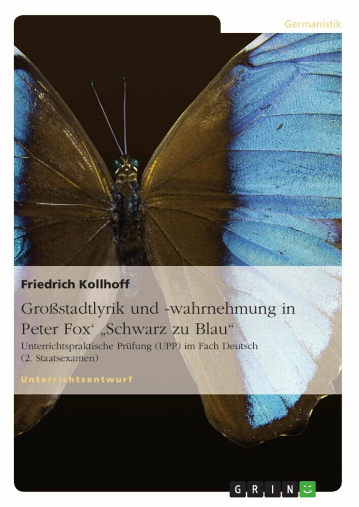 Großstadtlyrik und -wahrnehmung in Peter Fox' 'Schwarz zu Blau' main product photo