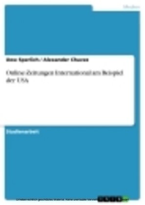 Online-Zeitungen International am Beispiel der USA