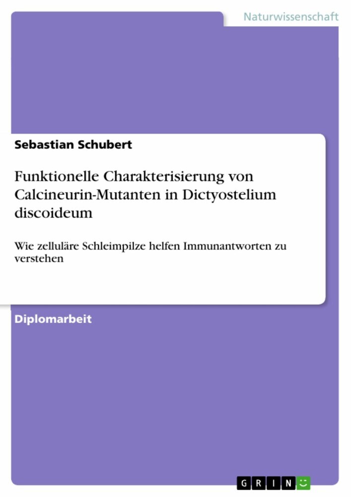 Funktionelle Charakterisierung von Calcineurin-Mutanten in Dictyostelium discoideum main product photo