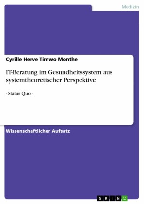 IT-Beratung im Gesundheitssystem aus systemtheoretischer Perspektive