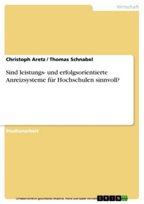 Sind leistungs- und erfolgsorientierte Anreizsysteme für Hochschulen sinnvoll?